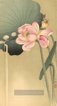 Singvögel und Lotus Ohara Koson Shin Hanga Ölgemälde